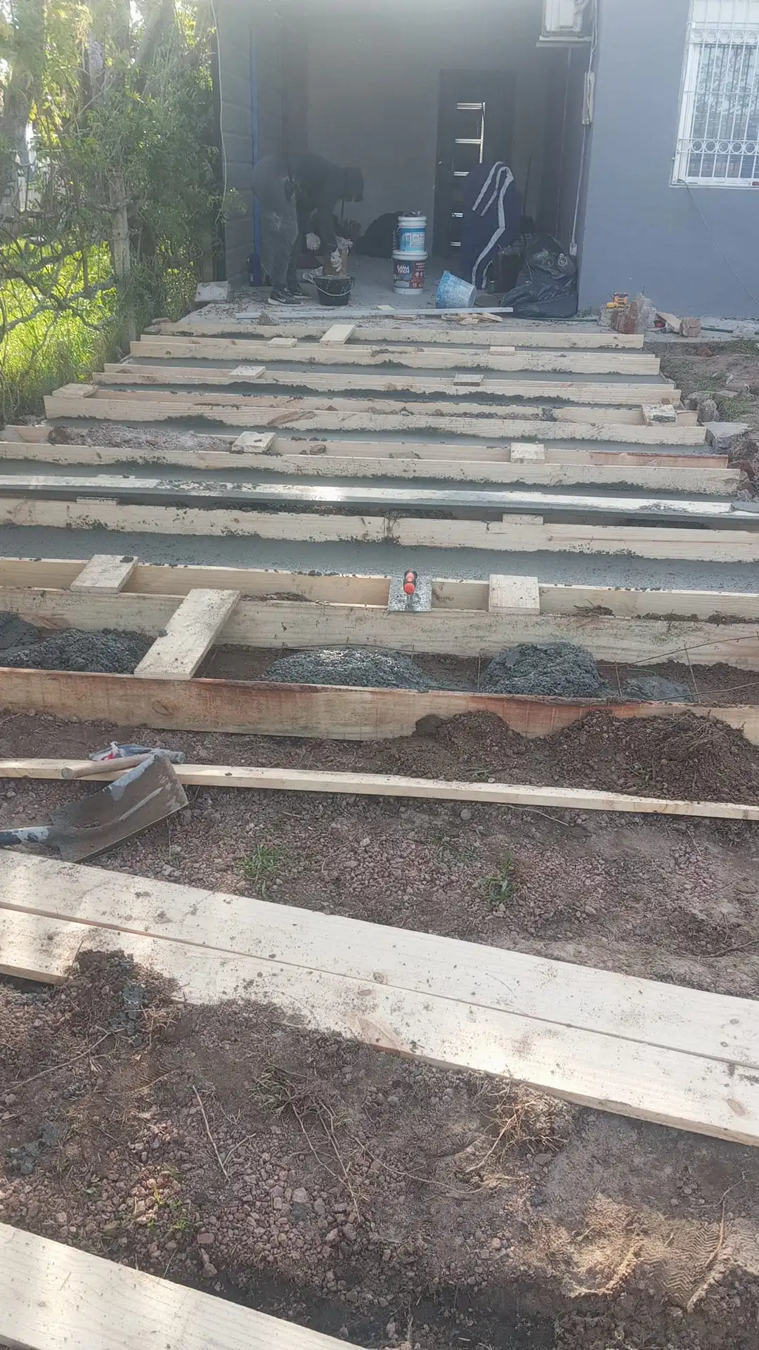 Proyecto