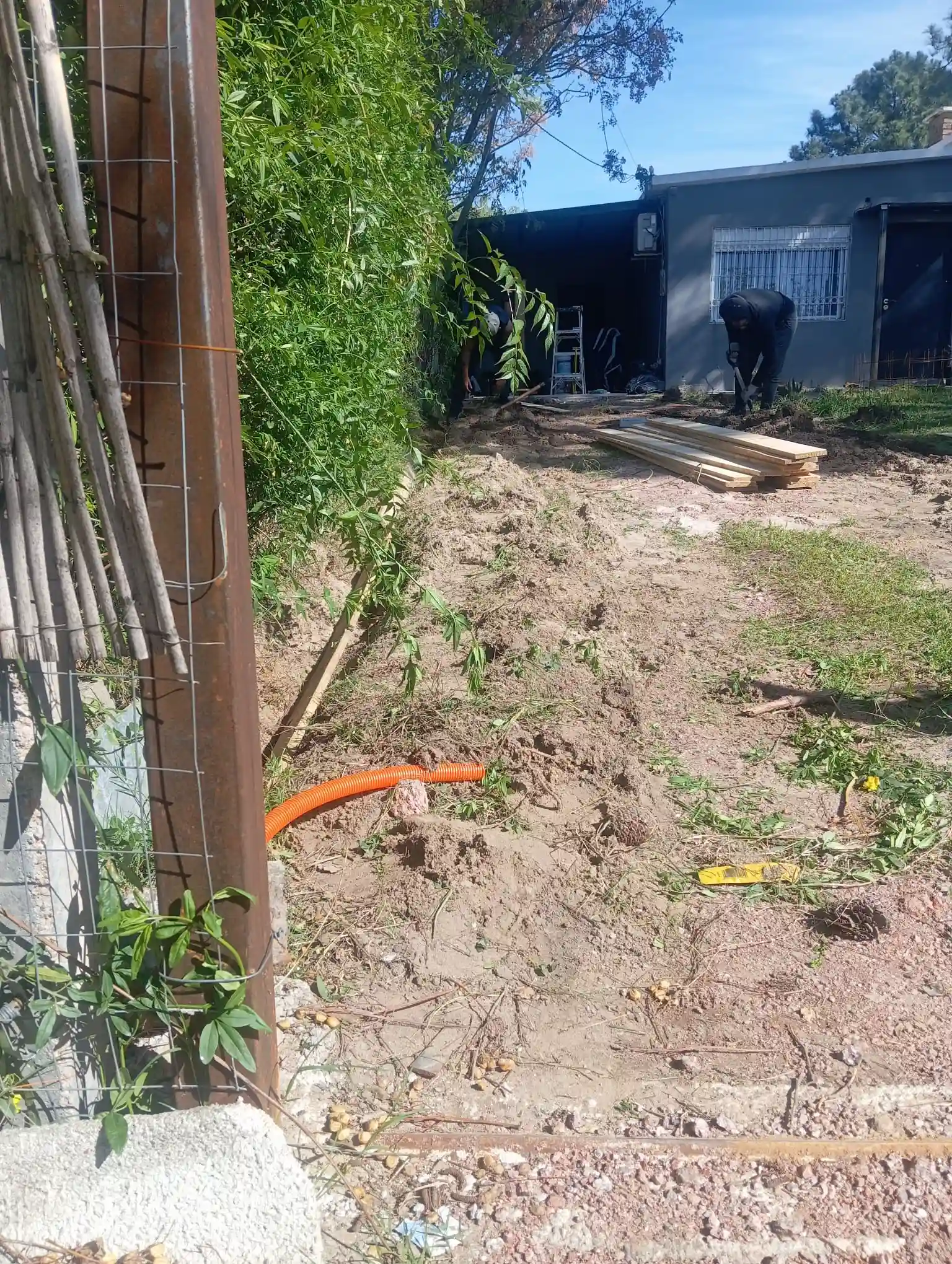 Proyecto