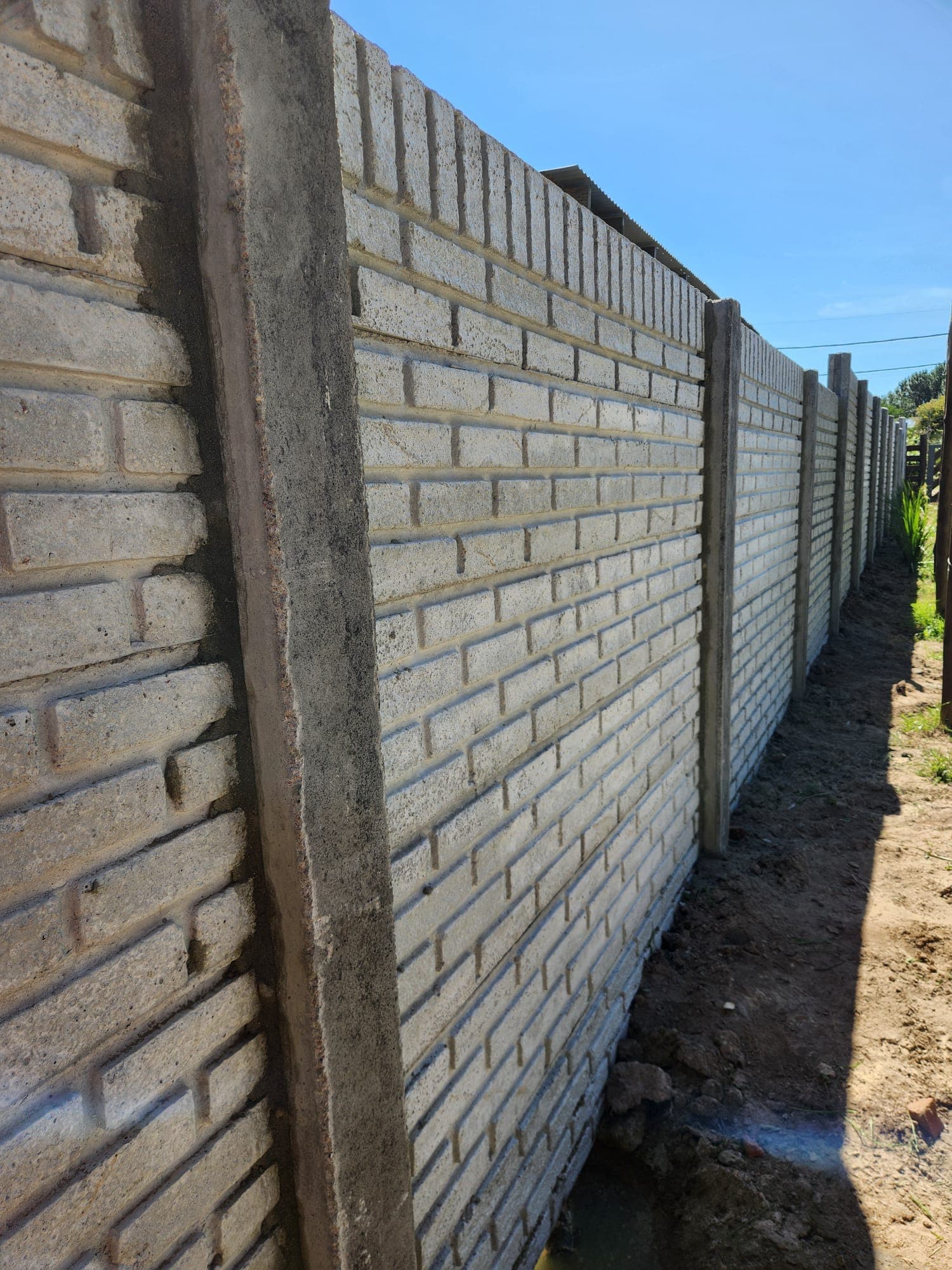 Proyecto